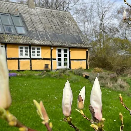 2 Bedroom Stunning In Holiday home *